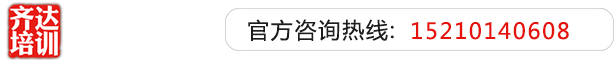 疯狂草我大骚逼视频齐达艺考文化课-艺术生文化课,艺术类文化课,艺考生文化课logo